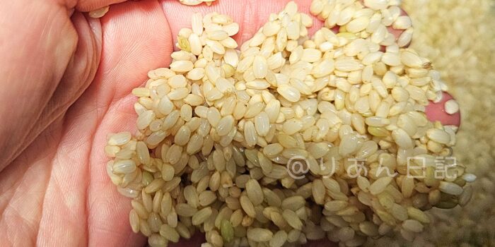 大喜米というオーガニック栽培のお米