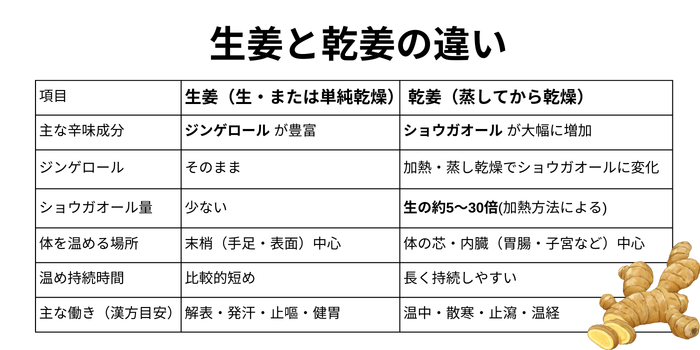 生姜と乾姜の違いを表にしてみました。