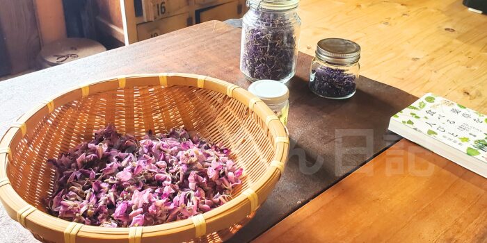 葛のお花と乾燥させて粉にしたもの、丸薬