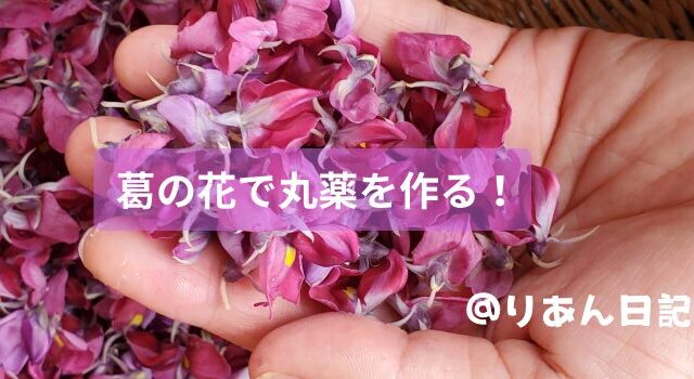 手のひらいっぱいの葛の花